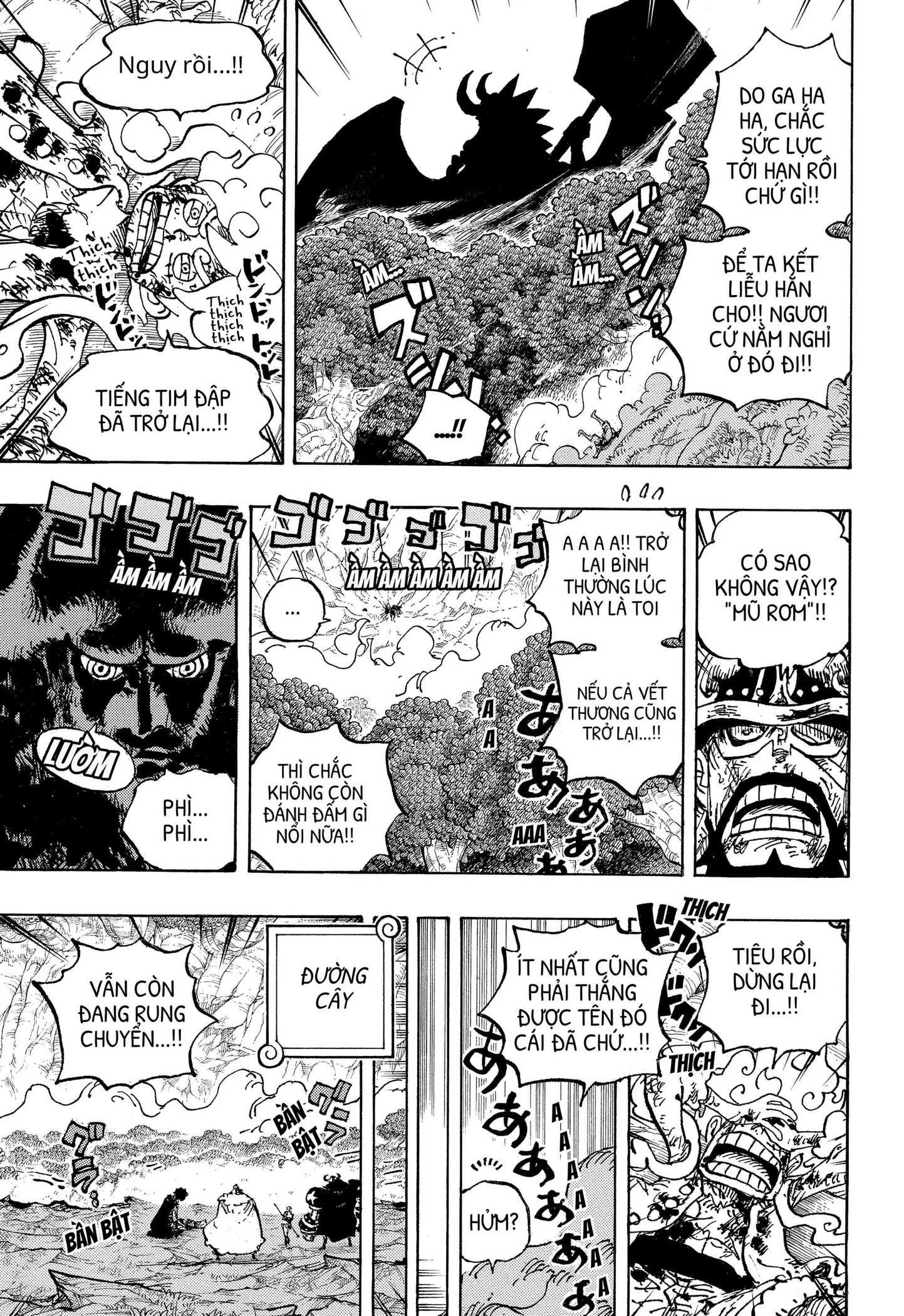 One Piece Tập 1193 trang 5