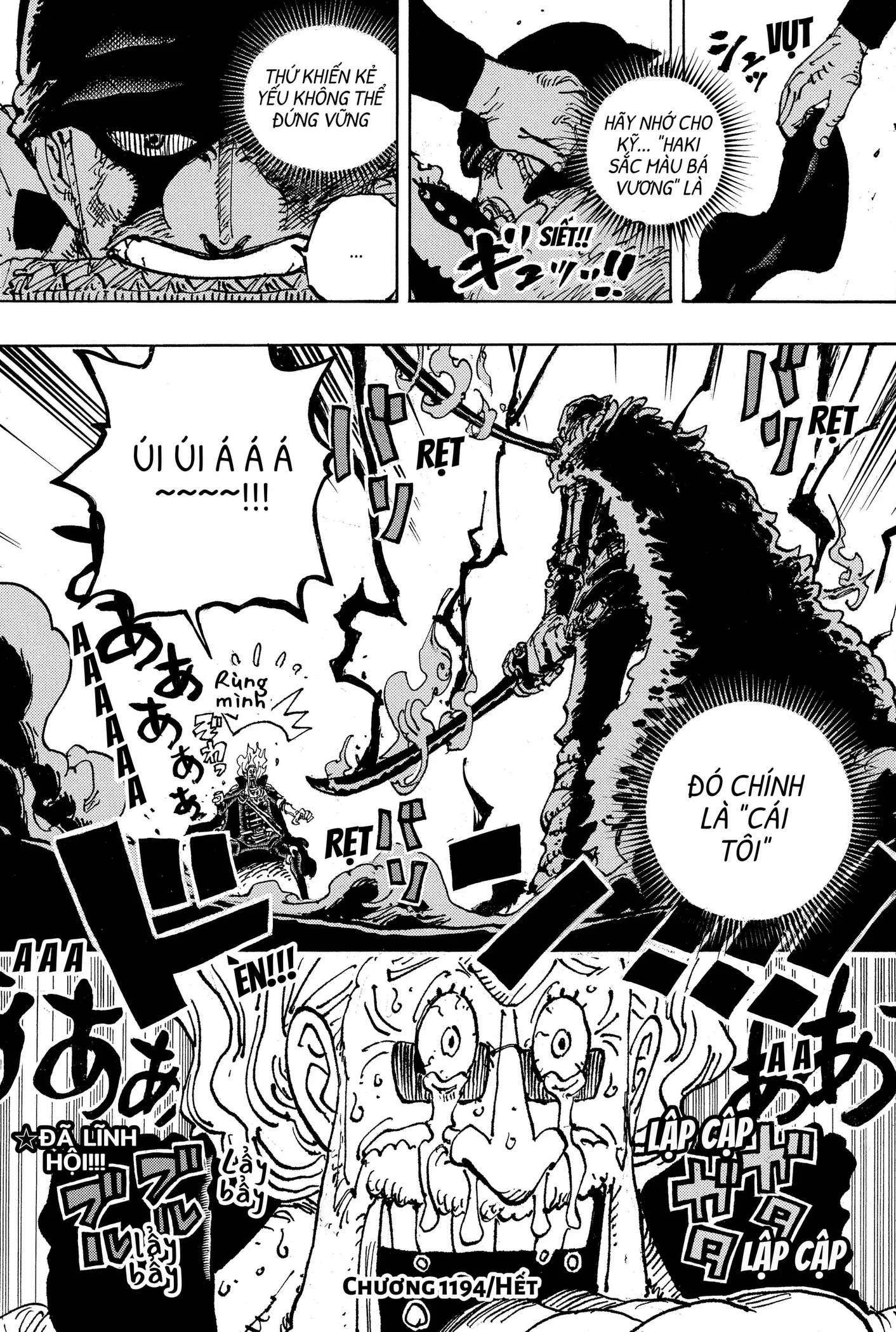 One Piece Tập 1194 trang 13