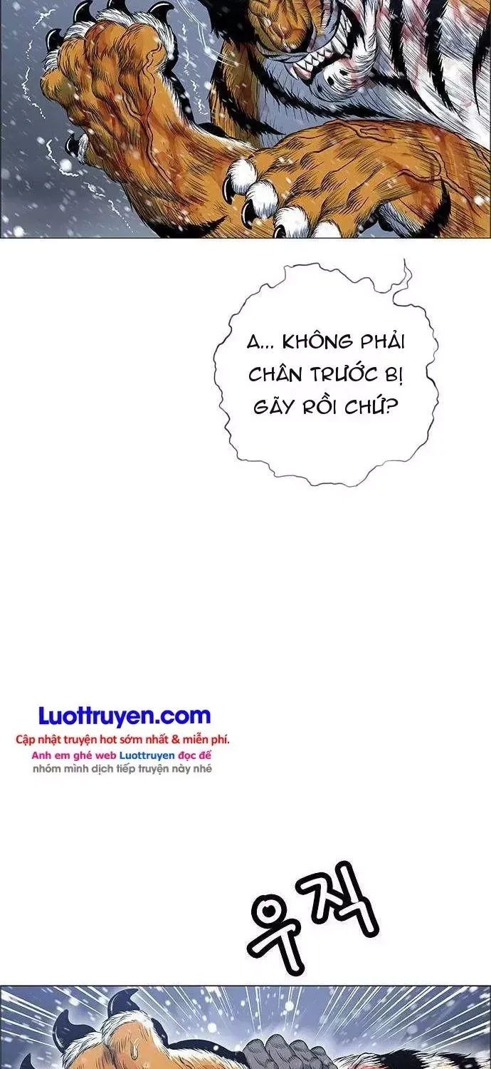 Anh Trai Tôi Là Hổ Tập 290 trang 91