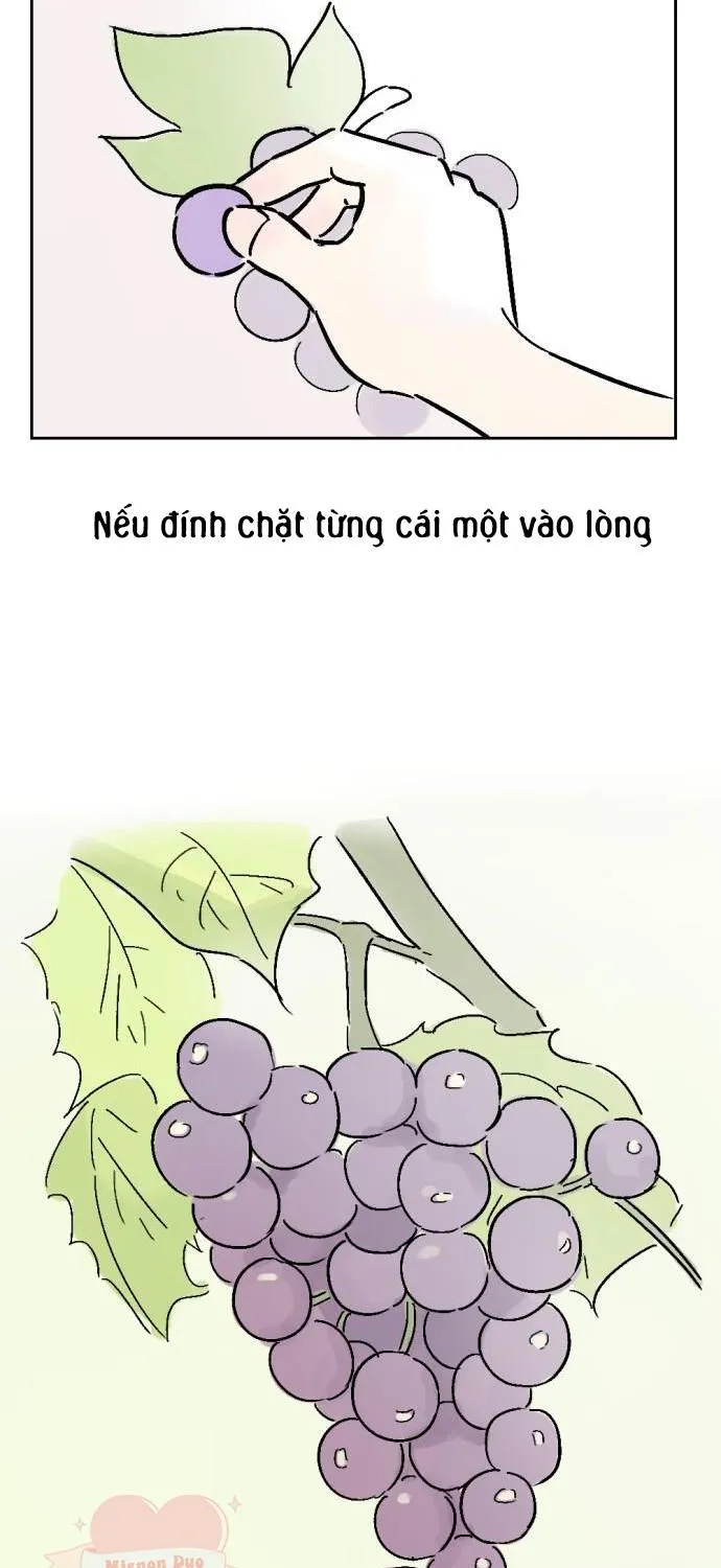 Bạn Cùng Lớp Tập 7.5 trang 17