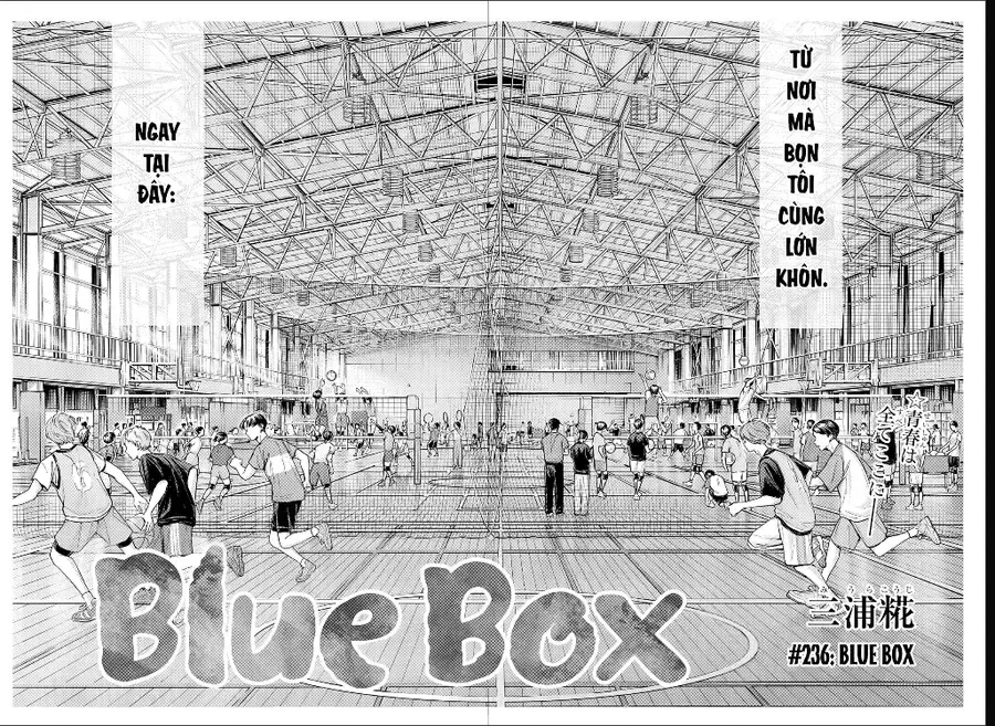 Blue Box Tập 236 trang 15