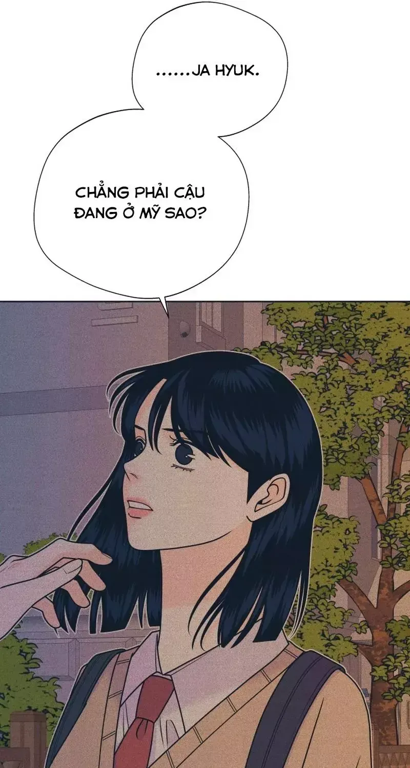 Cặp Đôi Hướng Nội Tập 164 trang 43