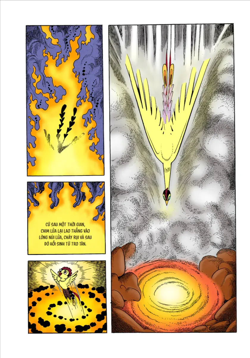 Chim Lửa (Official Colored) Tập 1.2 trang 10