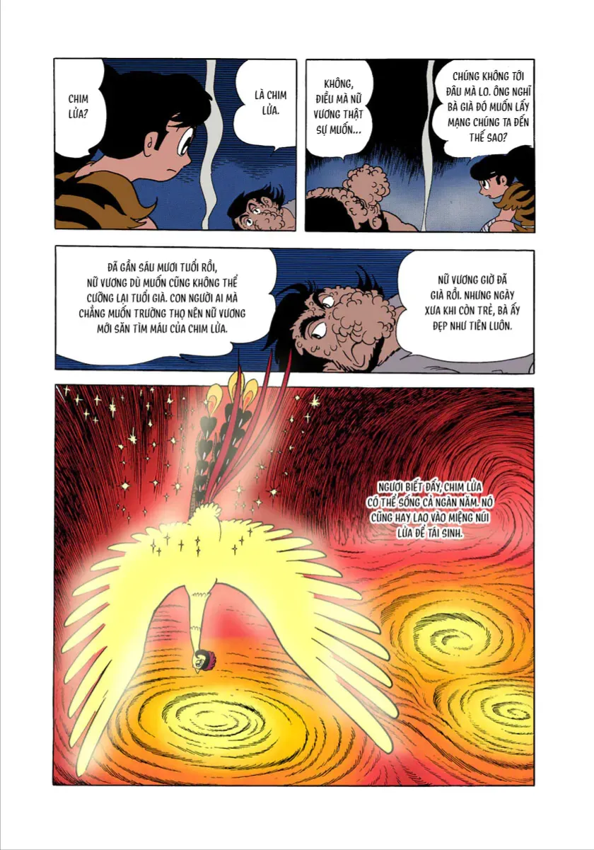 Chim Lửa (Official Colored) Tập 1.3 trang 14