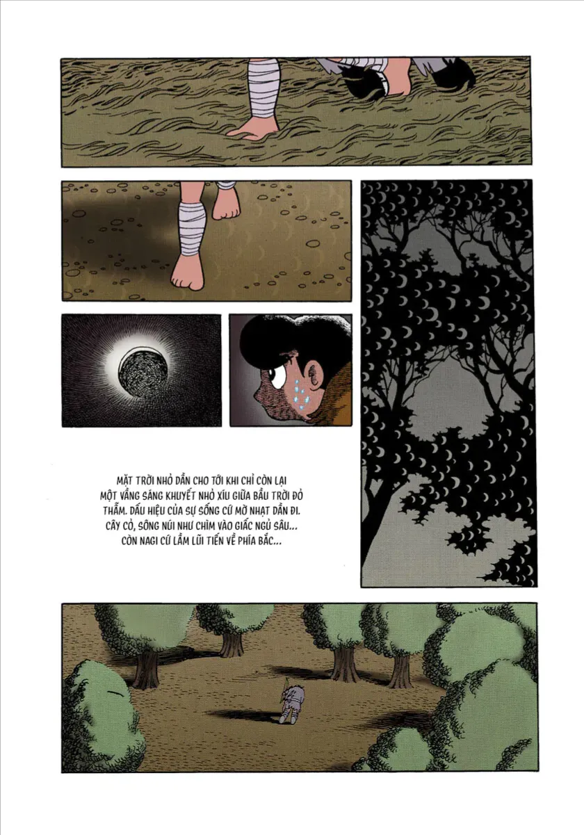 Chim Lửa (Official Colored) Tập 1.3 trang 3