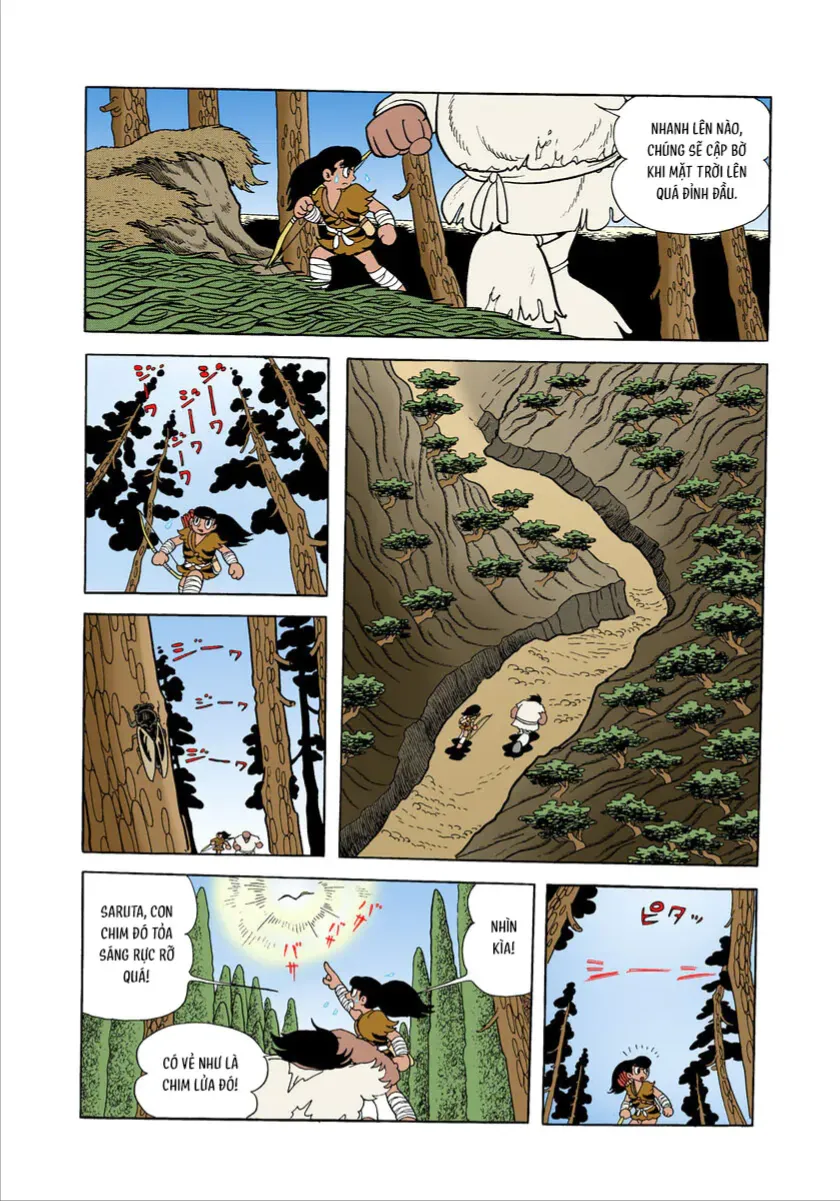 Chim Lửa (Official Colored) Tập 1.3 trang 23
