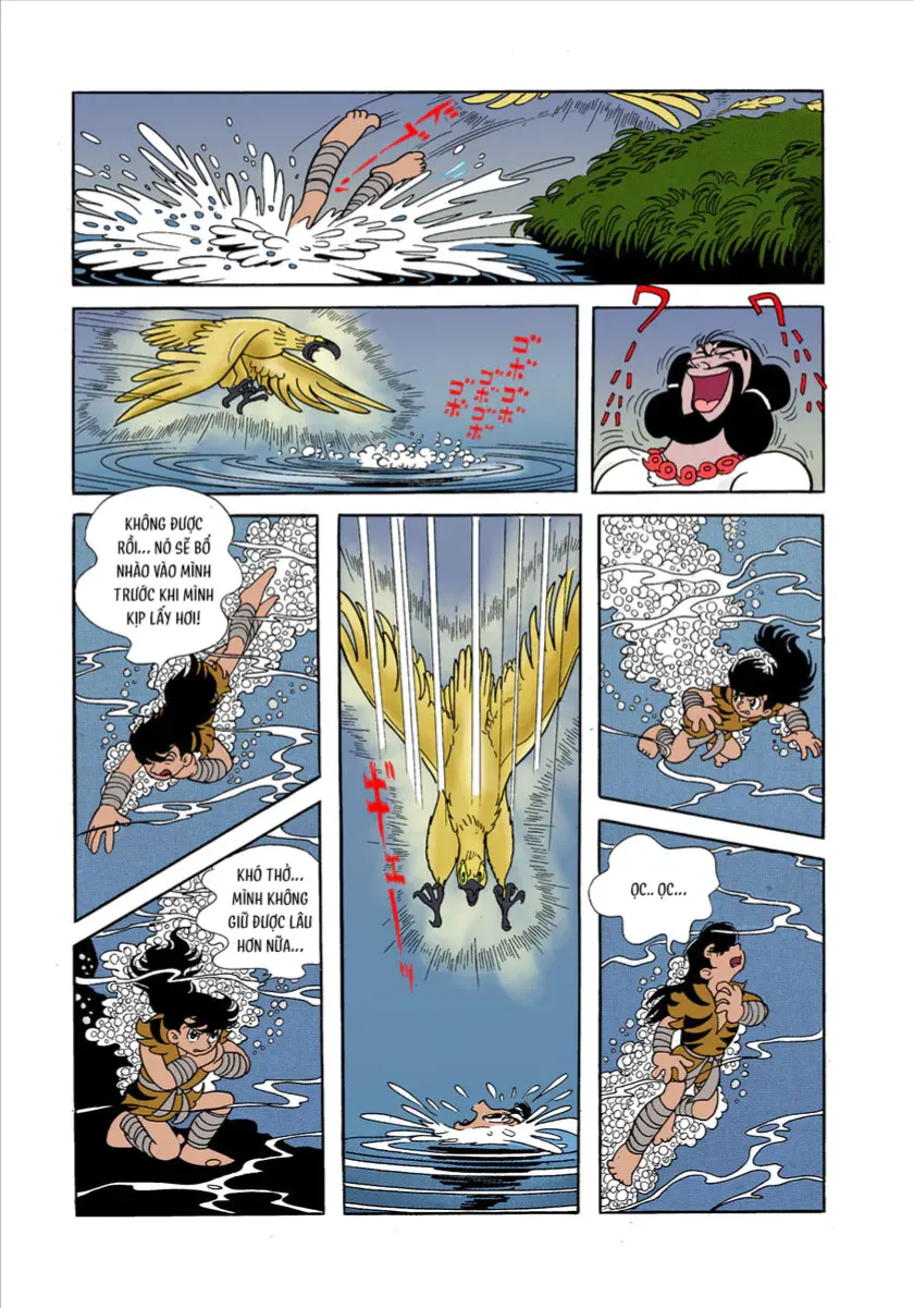 Chim Lửa (Official Colored) Tập 1.5 trang 12