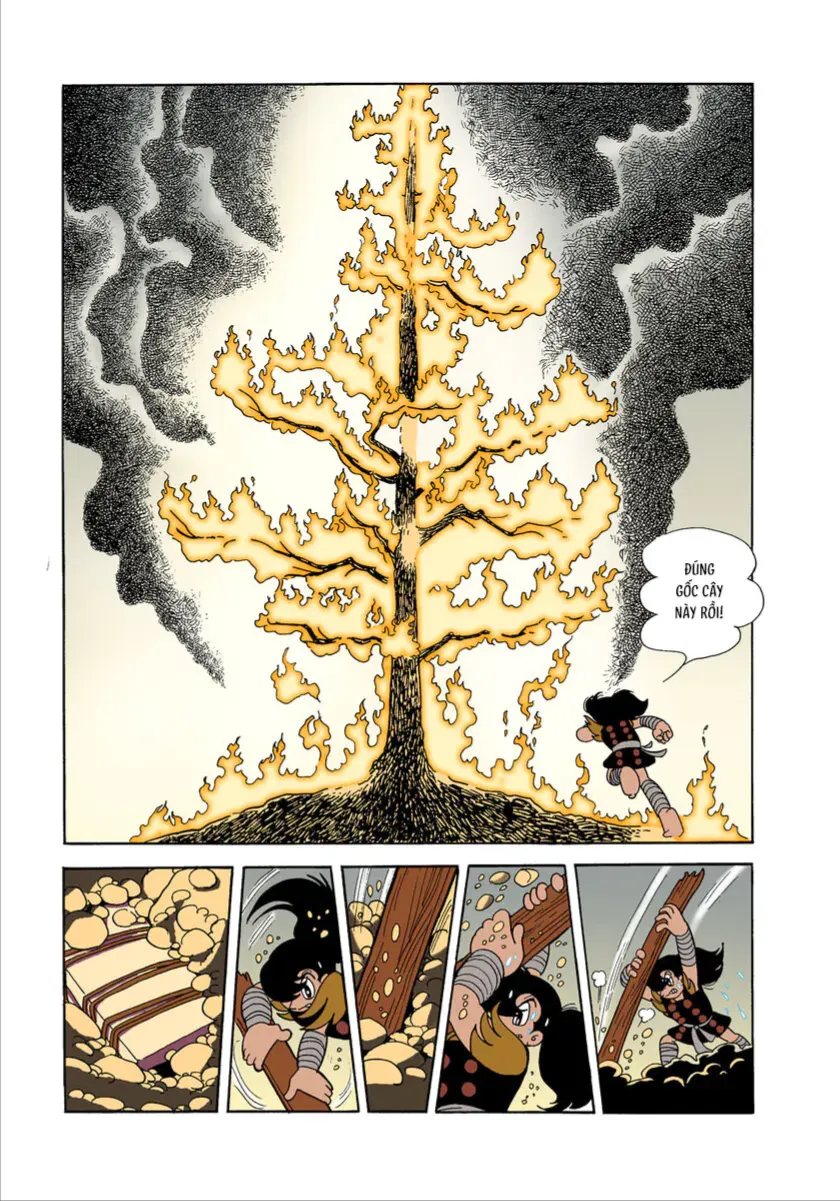 Chim Lửa (Official Colored) Tập 1.6 trang 23