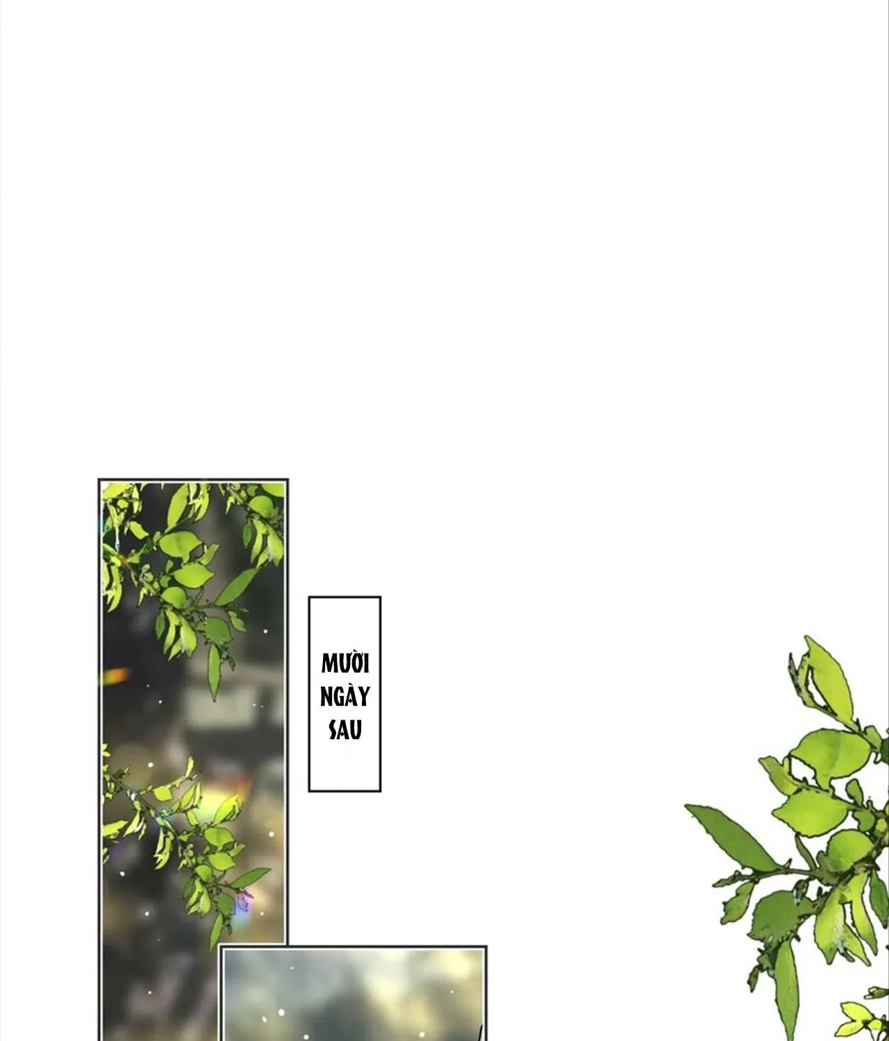 Cơn Mưa Quên Lối Về Tập 78 trang 51