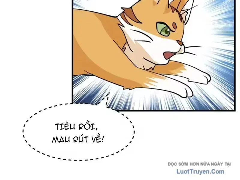 Cựu Nhật Chi Triện Tập 35 trang 102