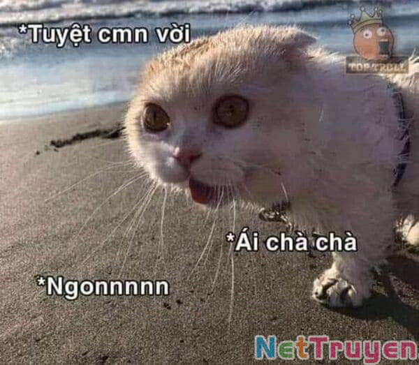 Dị Giới Thất Cách Tập 21 trang 28