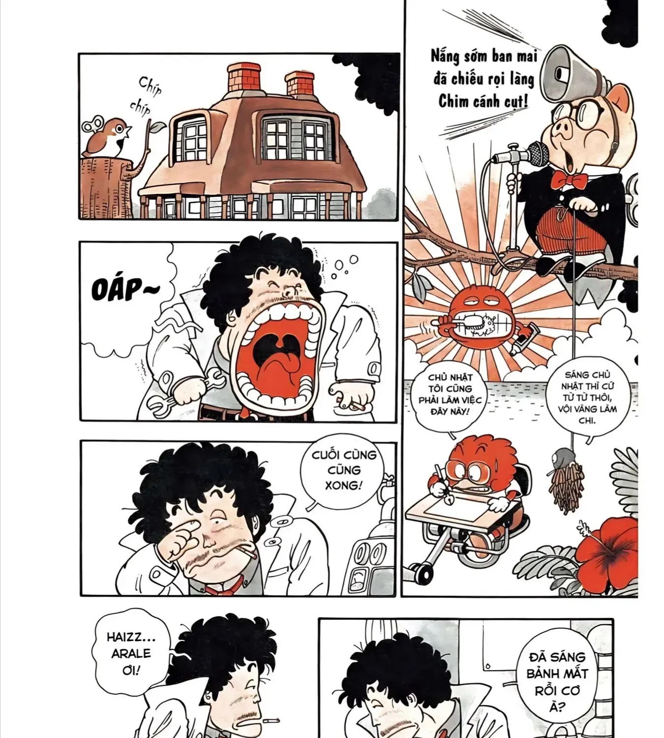 Dr. Slump Ultimate Edtion Tập 10 trang 3