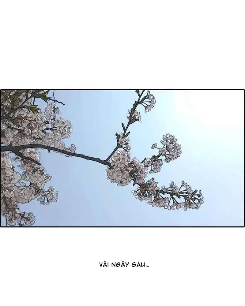 Free Draw Tập 281 trang 64
