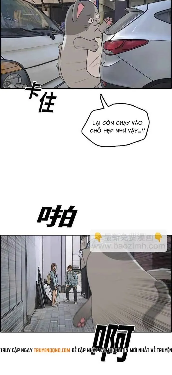 Free Draw Tập 312 trang 13