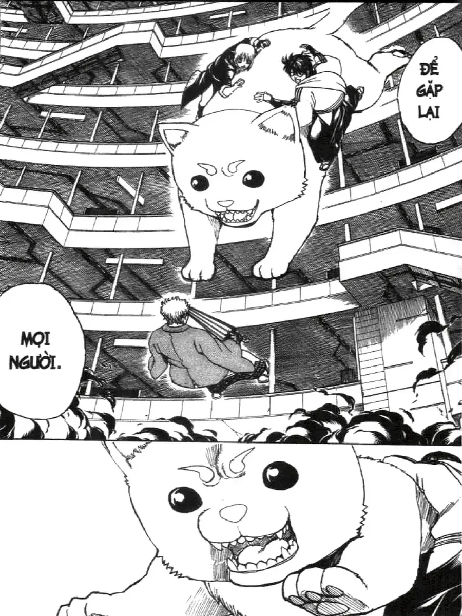 Gintama Tập 701 trang 11