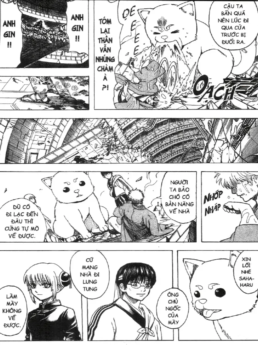 Gintama Tập 701 trang 17