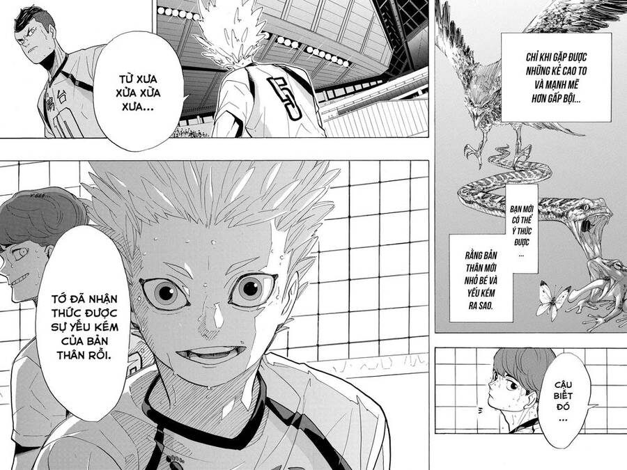 Haikyuu Tập 343 trang 20