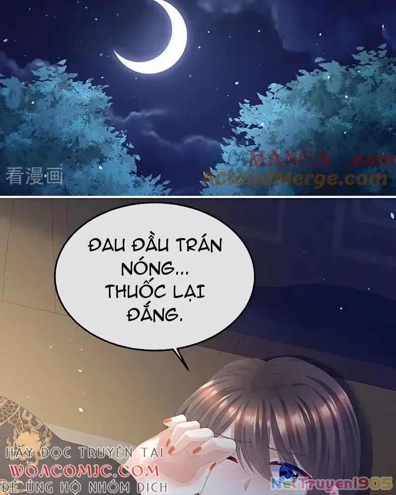 Hậu Cung Của Nữ Đế Tập 460 trang 19