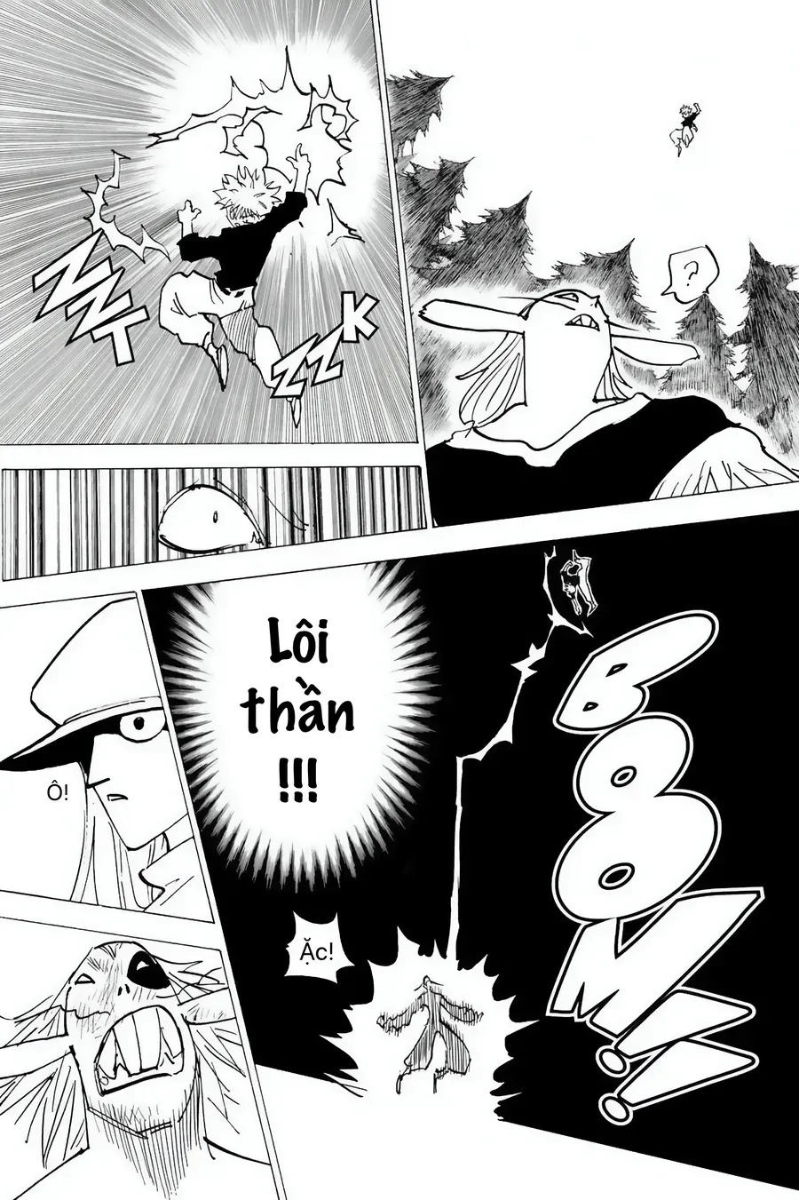 Hunter X Hunter Tập 1919 trang 13