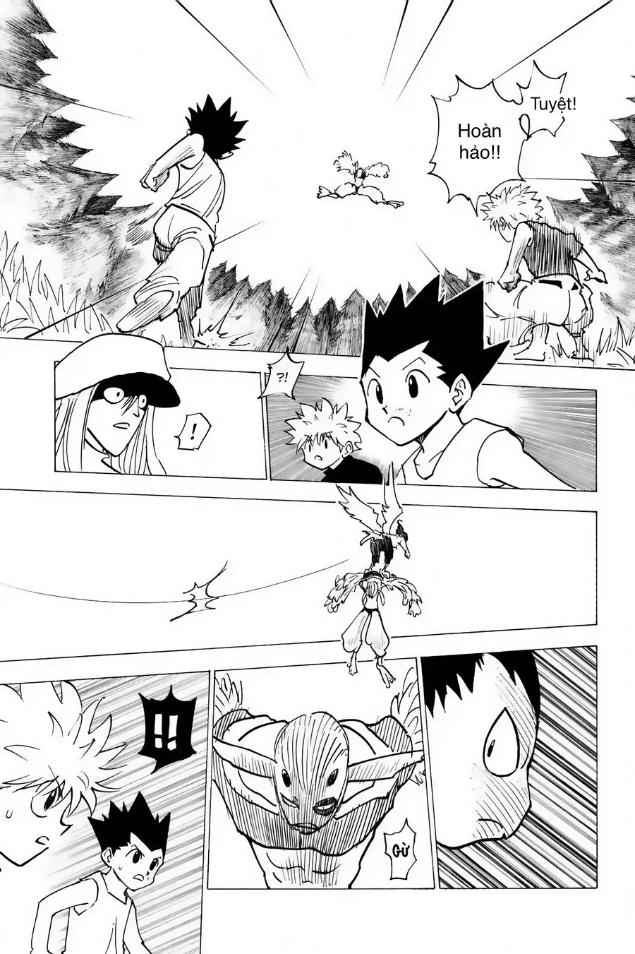Hunter X Hunter Tập 1919 trang 15