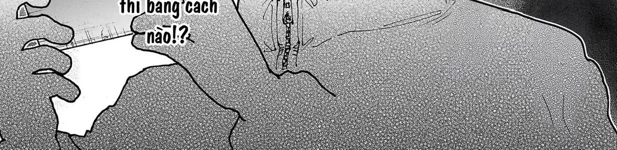 Hunter X Hunter Tập 413 trang 16