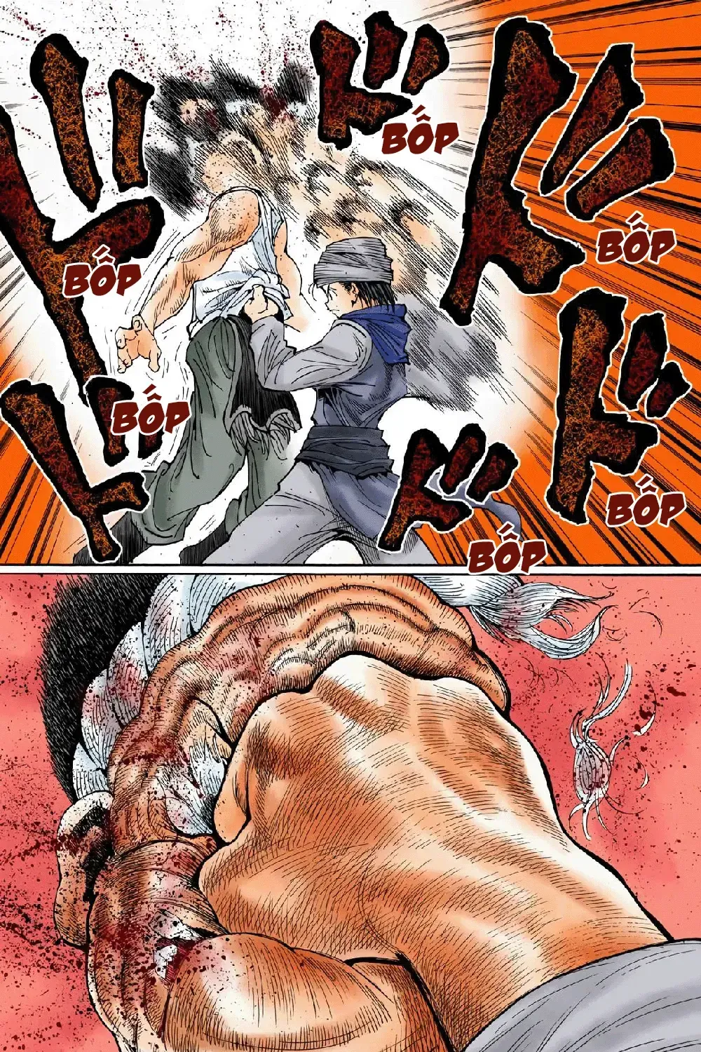 Hunter×Hunter (Digital Colored) Tập 343 trang 17
