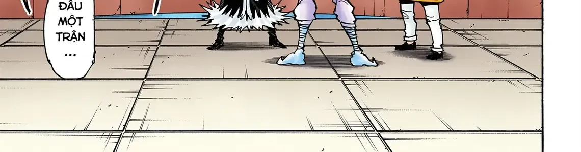 Hunter×Hunter (Digital Colored) Tập 351 trang 12