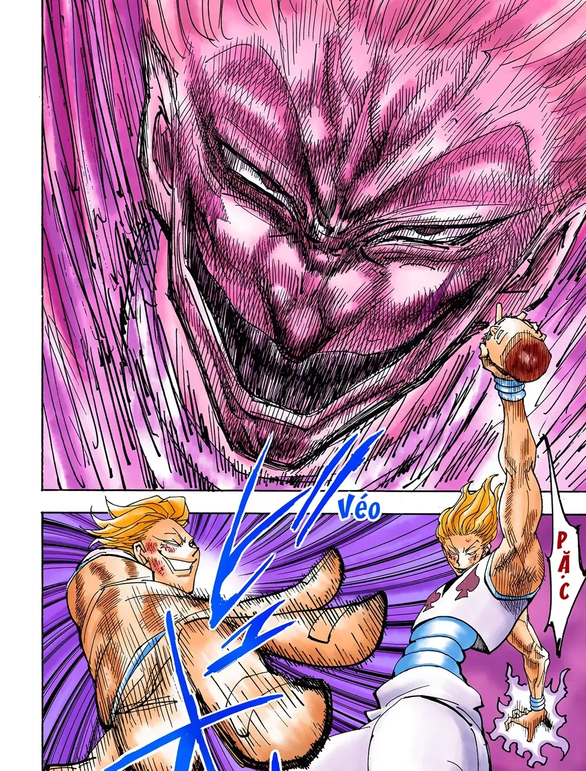 Hunter×Hunter (Digital Colored) Tập 355 trang 17