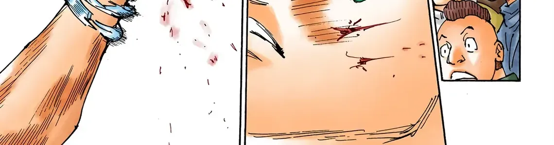 Hunter×Hunter (Digital Colored) Tập 355 trang 34
