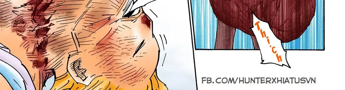 Hunter×Hunter (Digital Colored) Tập 357 trang 14