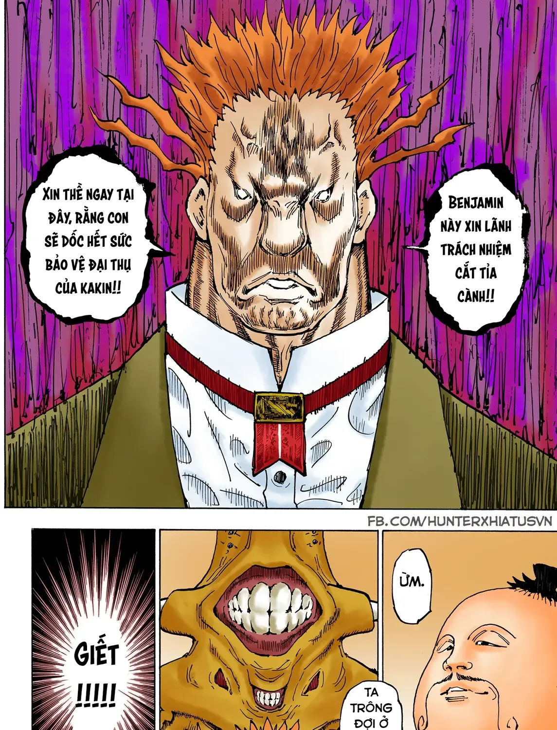 Hunter×Hunter (Digital Colored) Tập 363 trang 13