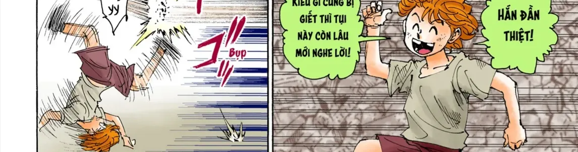 Hunter×Hunter (Digital Colored) Tập 395 trang 17