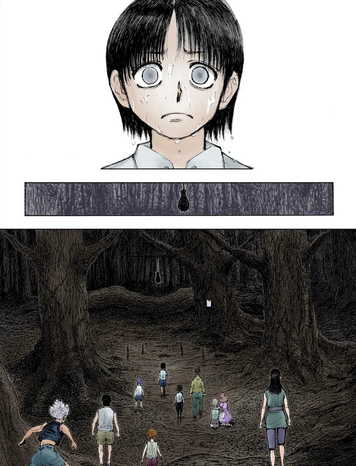 Hunter×Hunter (Digital Colored) Tập 397 trang 11