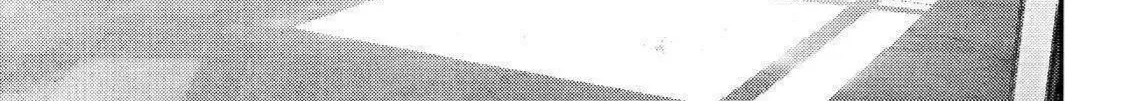 Inuyashiki Tập 58 trang 14