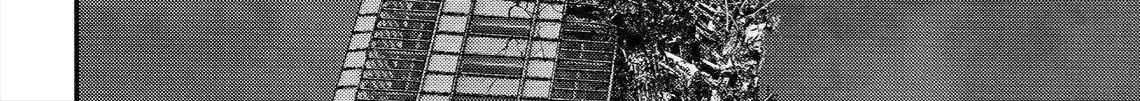 Inuyashiki Tập 72 trang 5