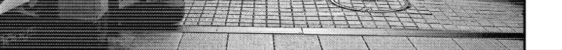 Inuyashiki Tập 74 trang 7