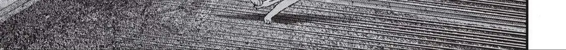 Inuyashiki Tập 79 trang 7
