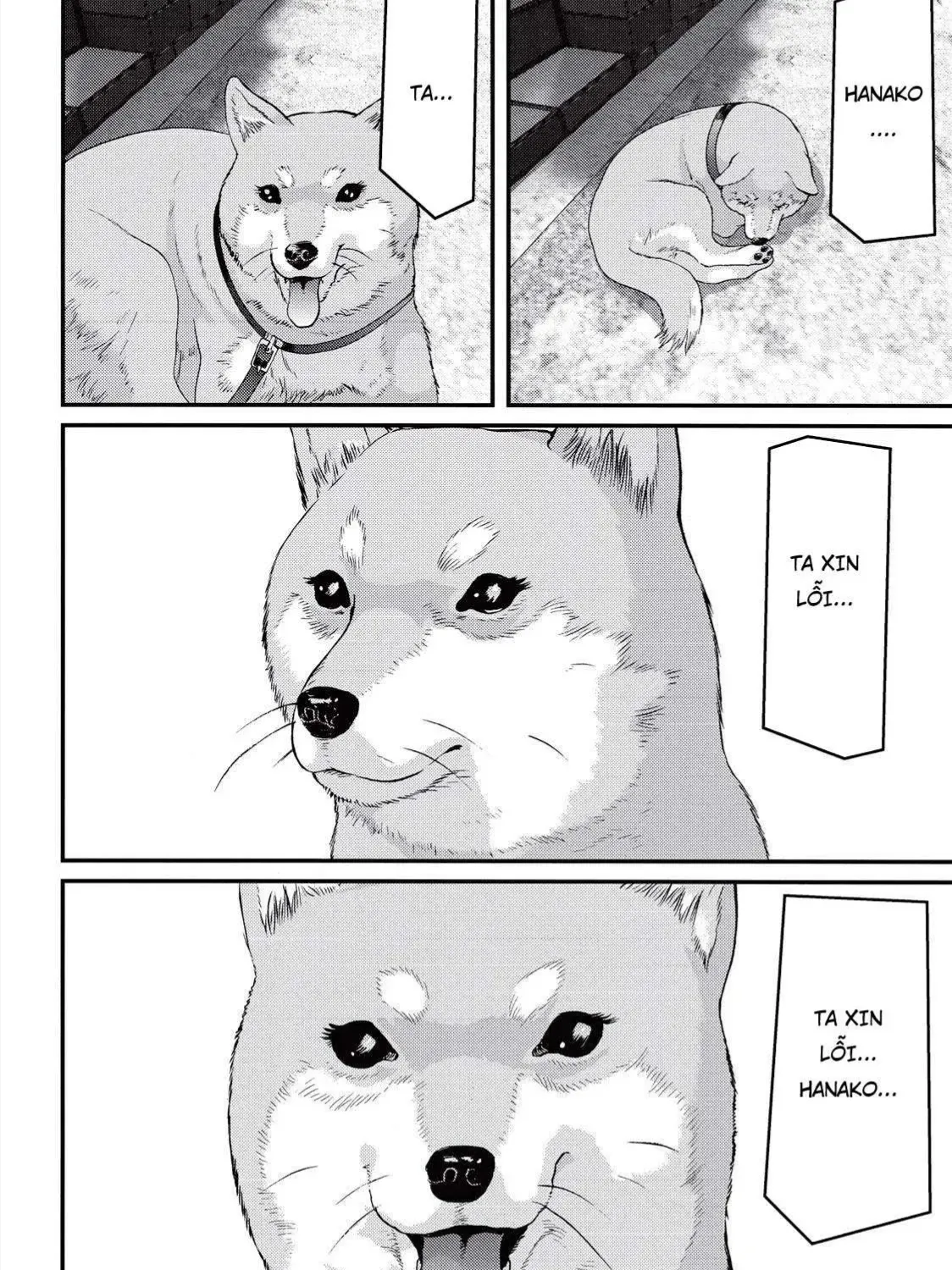 Inuyashiki Tập 84 trang 16