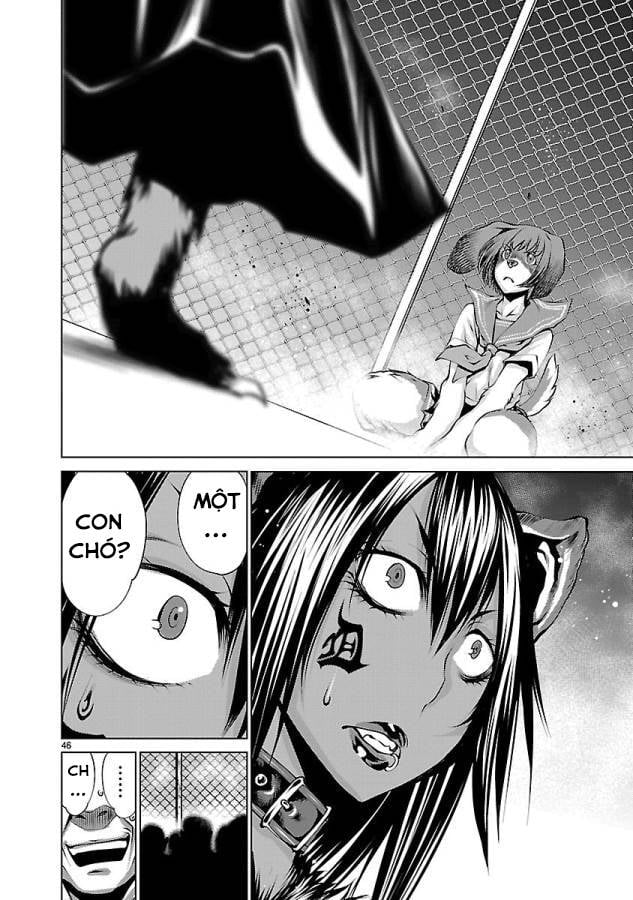 Killing Bites Tập 31 trang 51