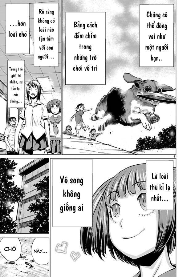Killing Bites Tập 34 trang 26