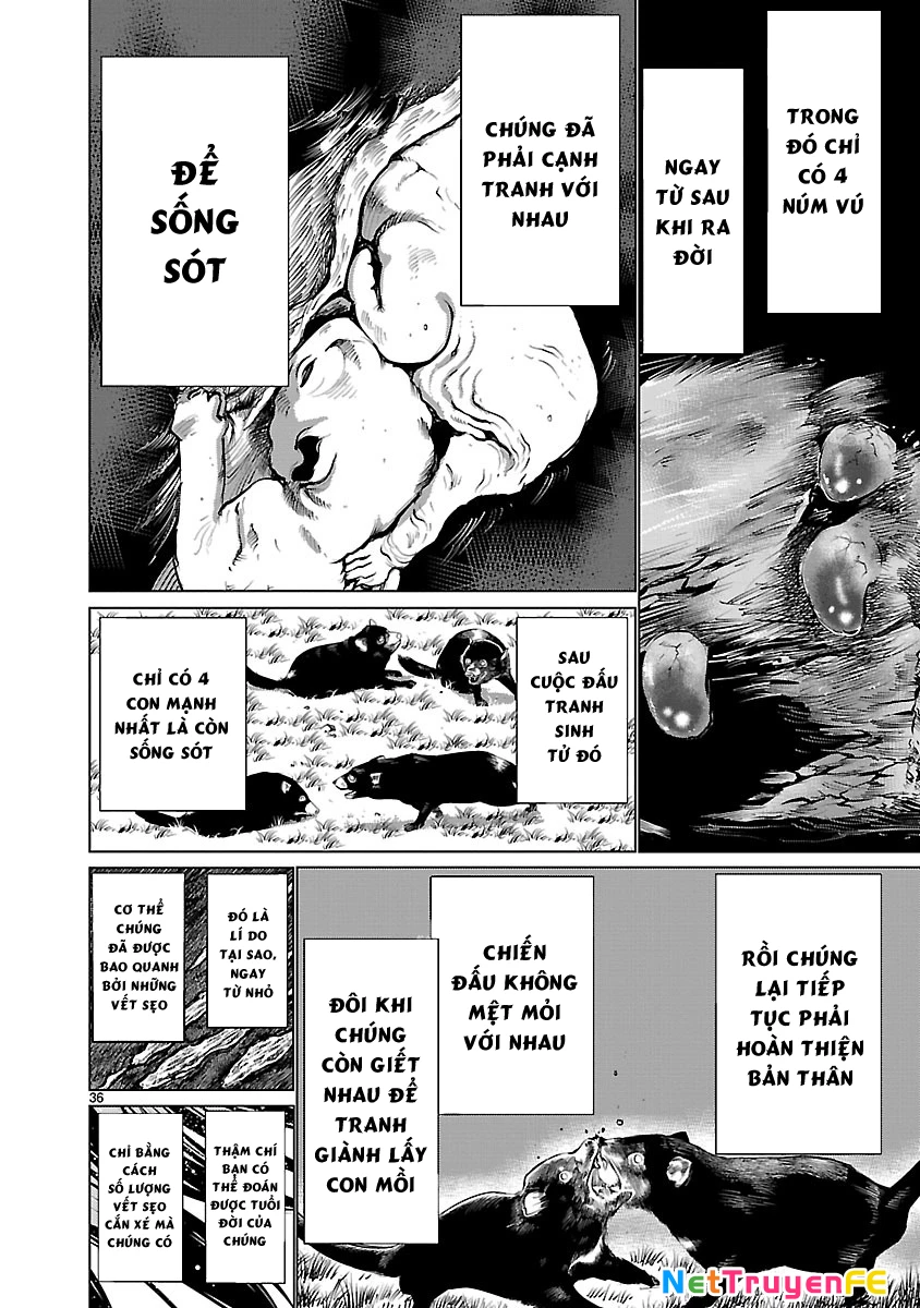 Killing Bites Tập 36 trang 39
