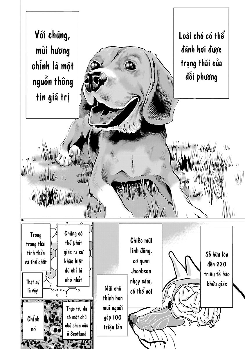 Killing Bites Tập 37 trang 16