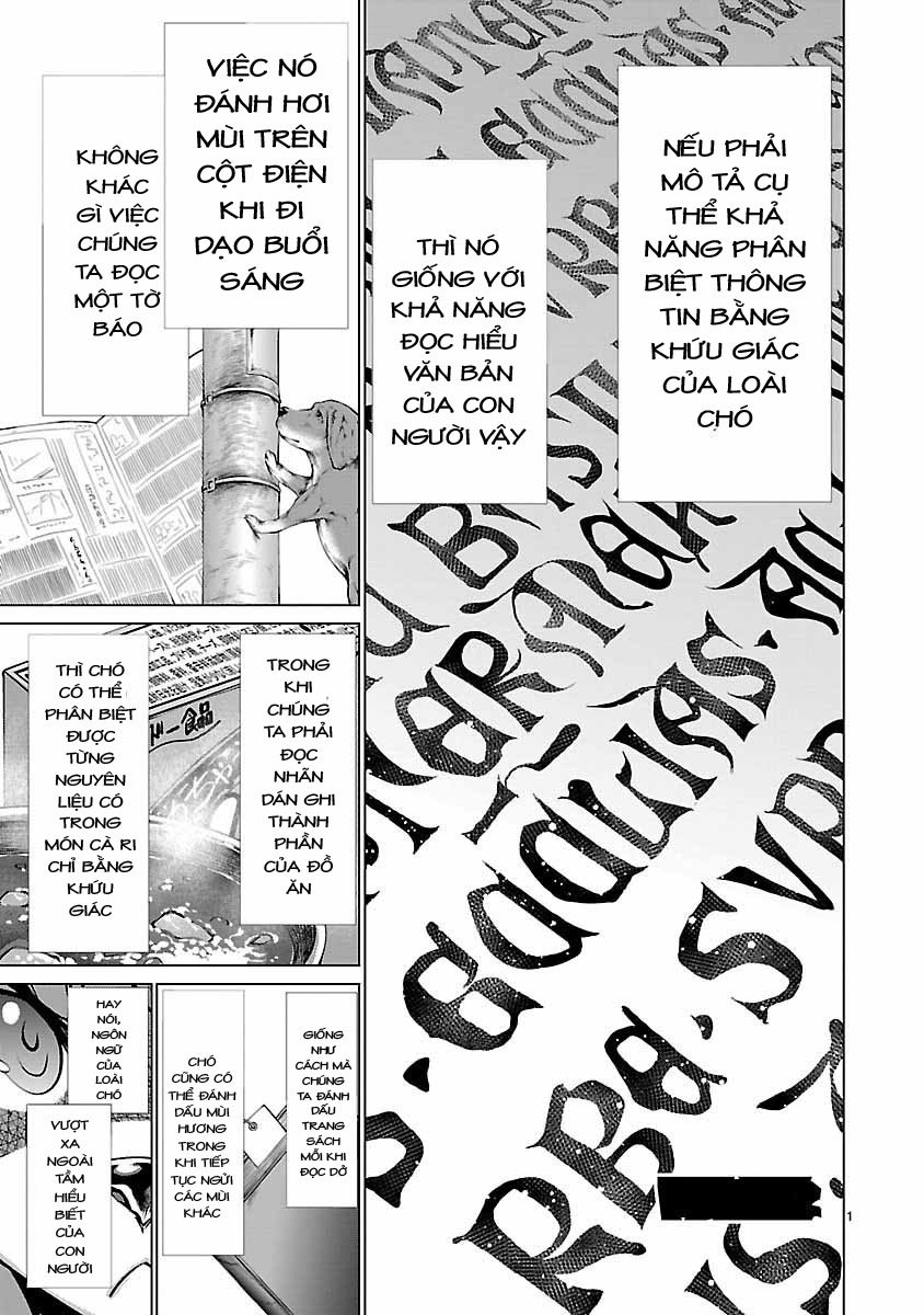 Killing Bites Tập 38 trang 4