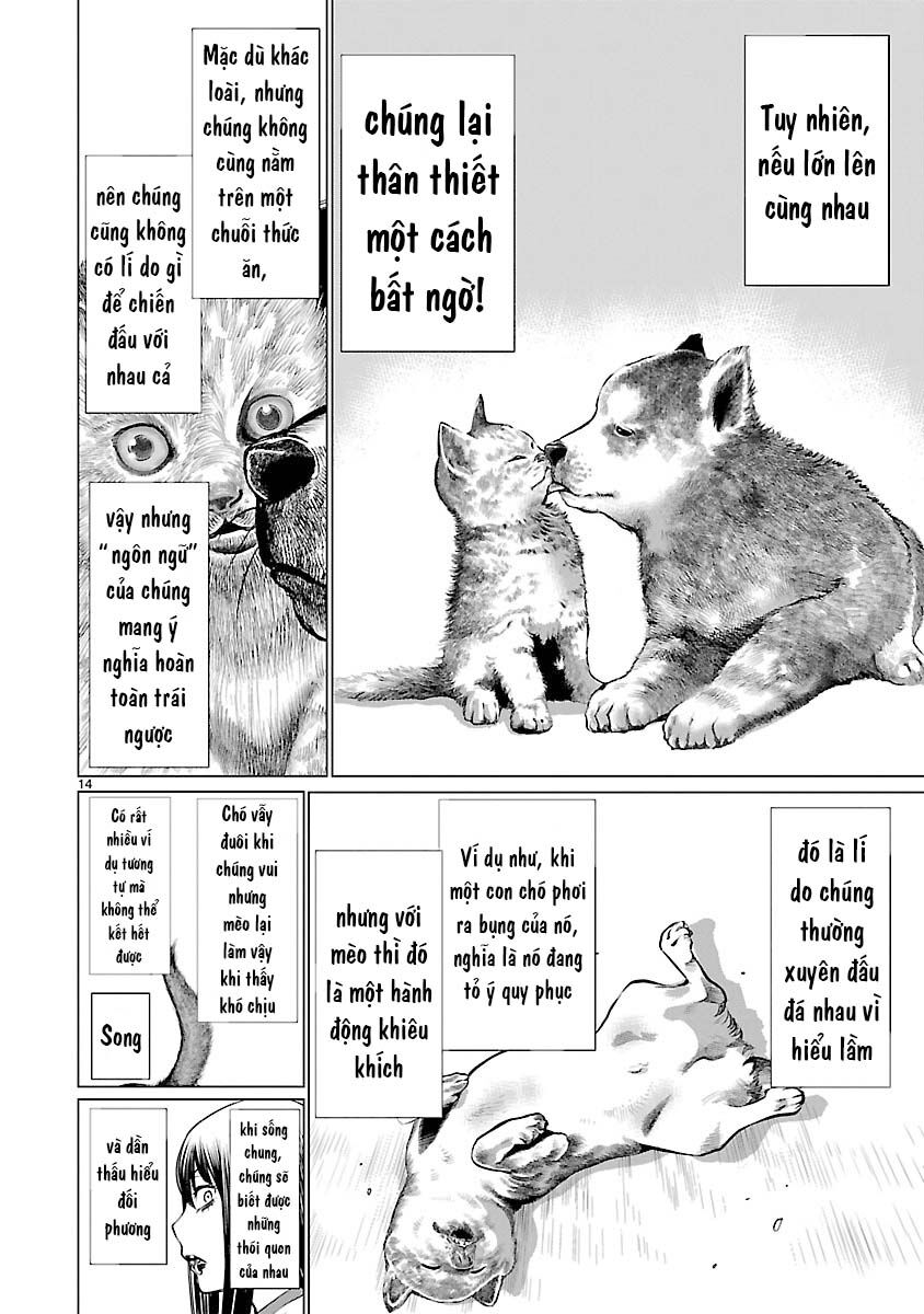 Killing Bites Tập 39 trang 17