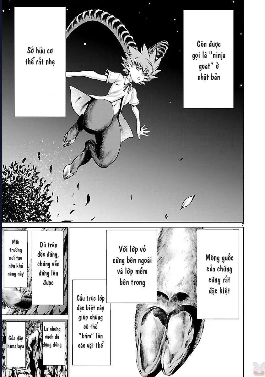 Killing Bites Tập 43 trang 11