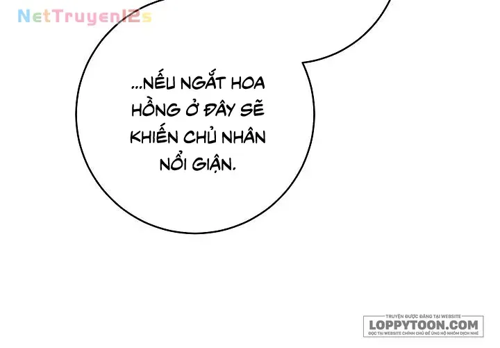 Mộ Thiên Nga Tập 22 trang 65