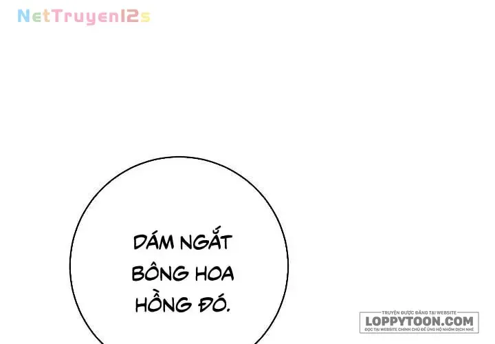 Mộ Thiên Nga Tập 23 trang 38