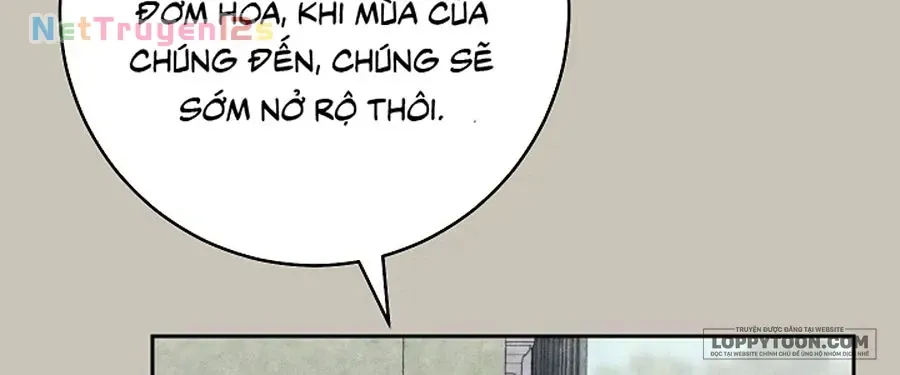 Mộ Thiên Nga Tập 44 trang 101