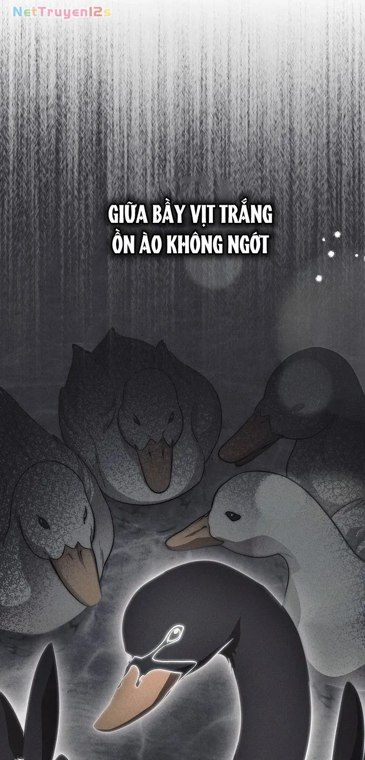 Mộ Thiên Nga Tập 49 trang 55