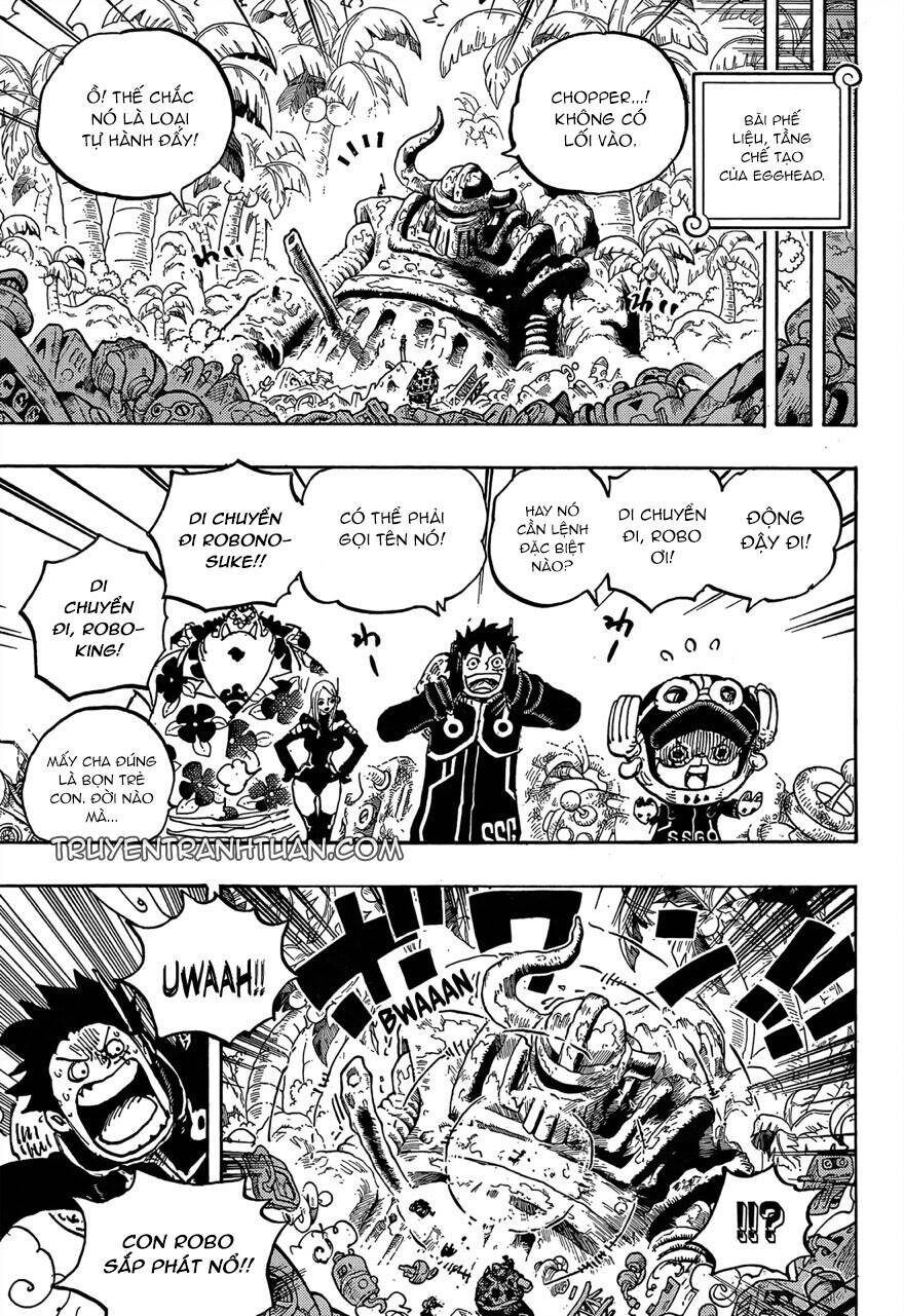One Piece Tập 1066 trang 14